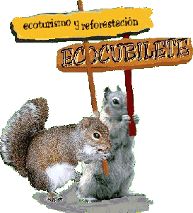 hemos creado el blog